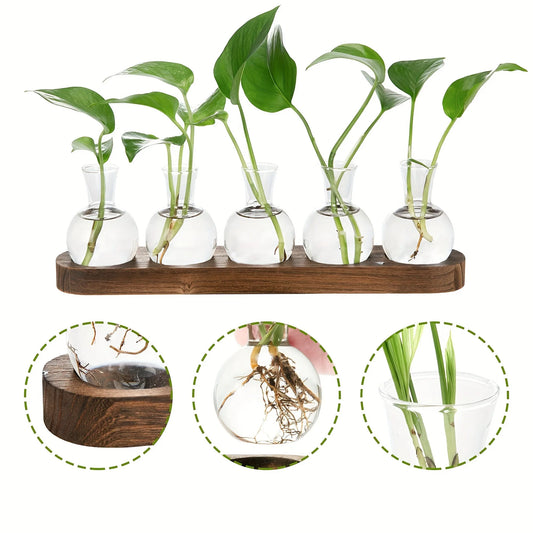Modern Glass Plant Terrarium with Wooden Tray — Hydroponic Vase for Indoor Propagation Station & Office Decor