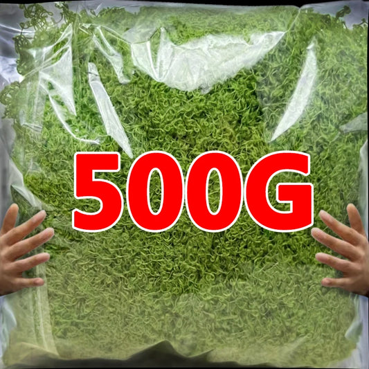 500/30G Artificial Green Plants Eternal Life Moss Mini Landscape Fake Grass DIY Crafts Garden Home Decoration