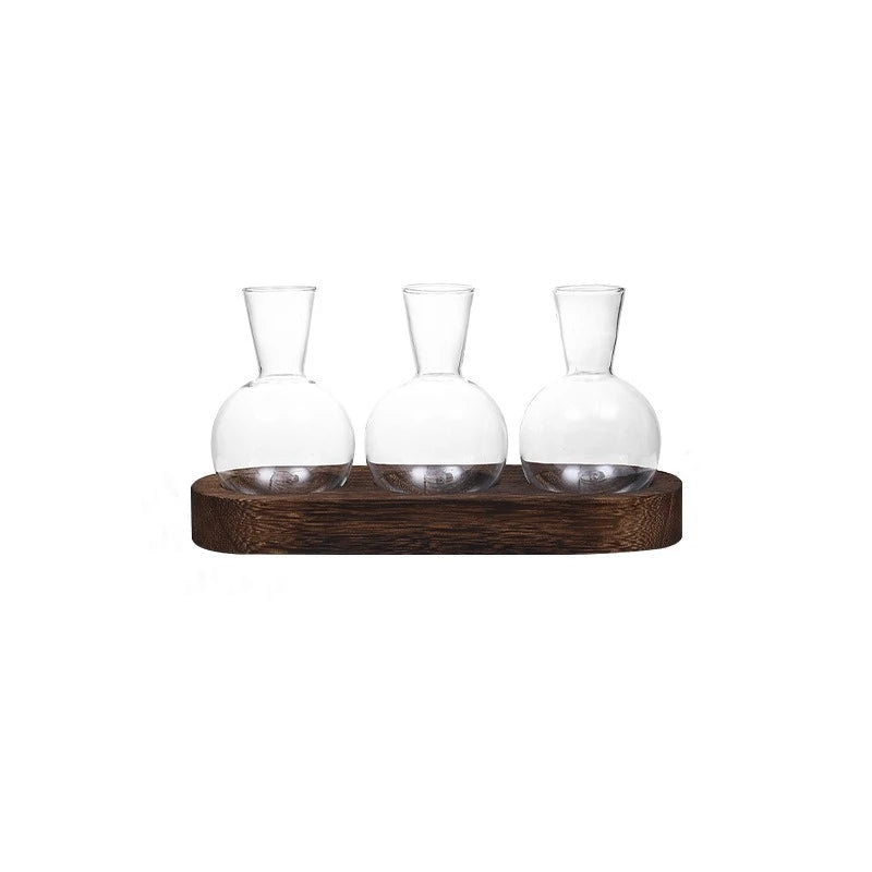 Modern Glass Plant Terrarium with Wooden Tray — Hydroponic Vase for Indoor Propagation Station & Office Decor