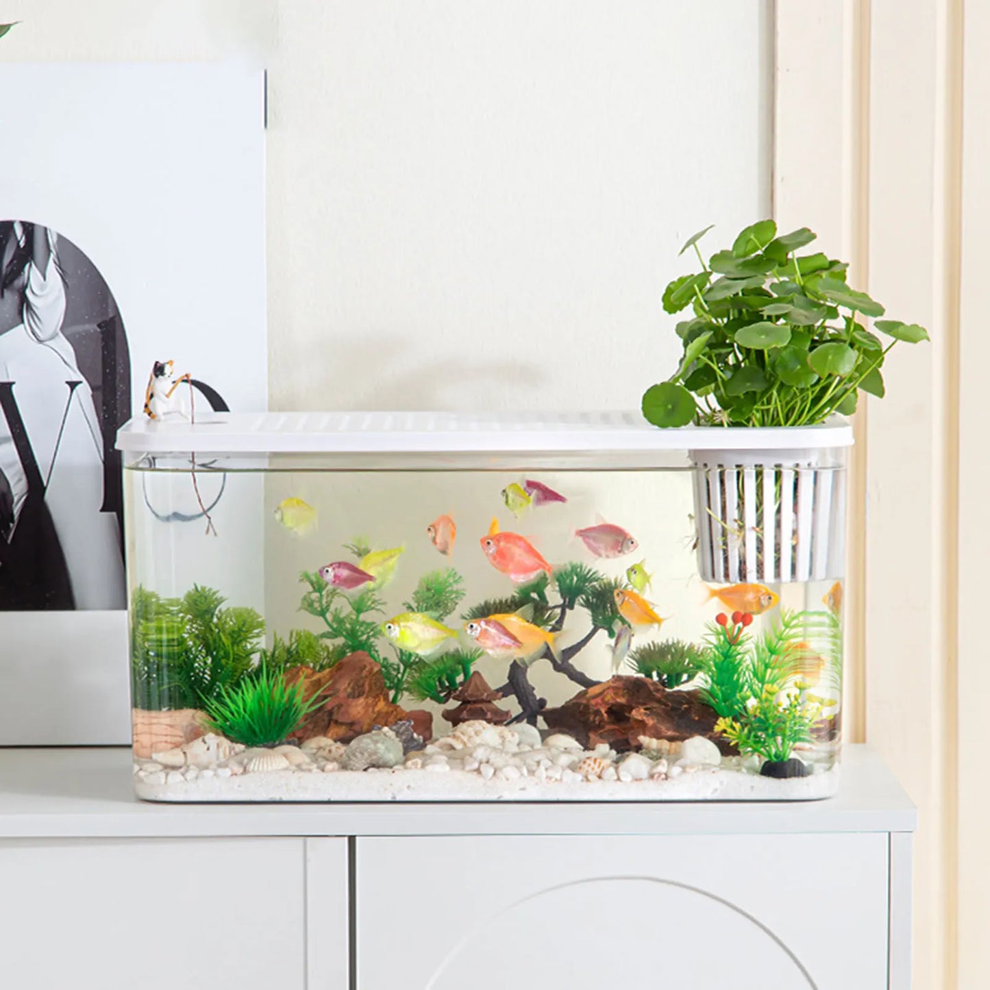 Clear View Reptile Terrarium — Breeding Tank Habitat for Betta Fish, Crayfish, Snake & Chameleon