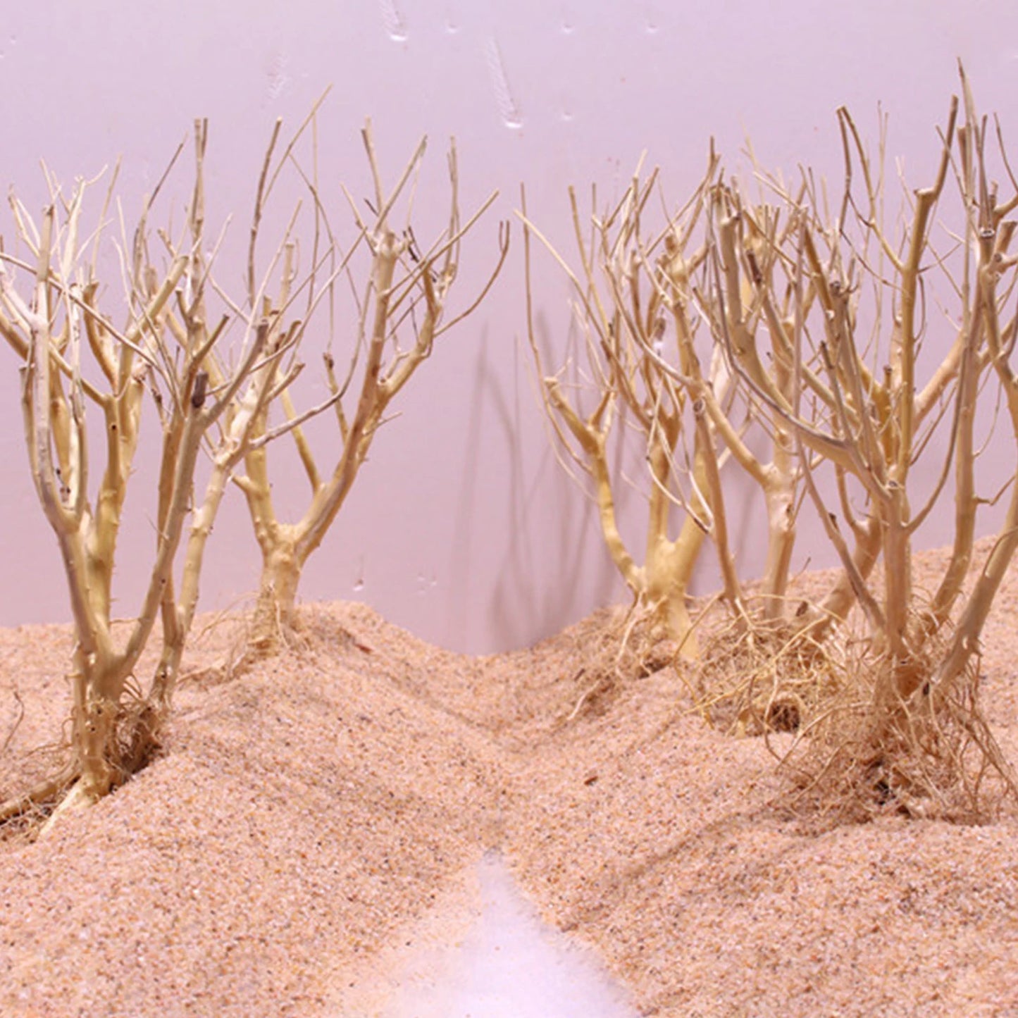 Natural Driftwood Branch — Terrarium Decor & Glass Terrarium Accessory