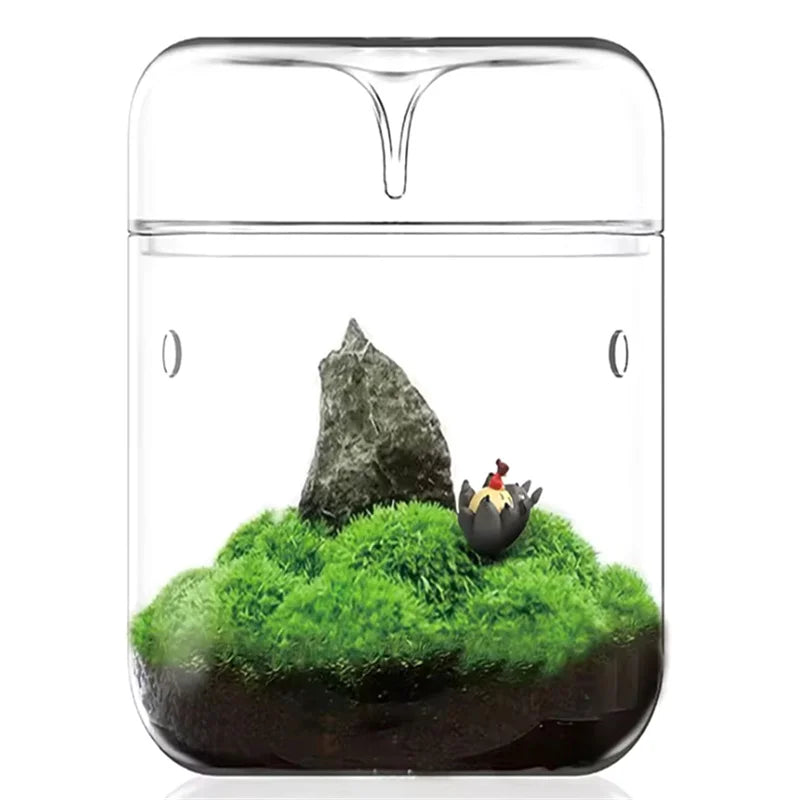 Glass Terrarium Dew Vase — Moss & Succulent Micro Landscape Home Decor