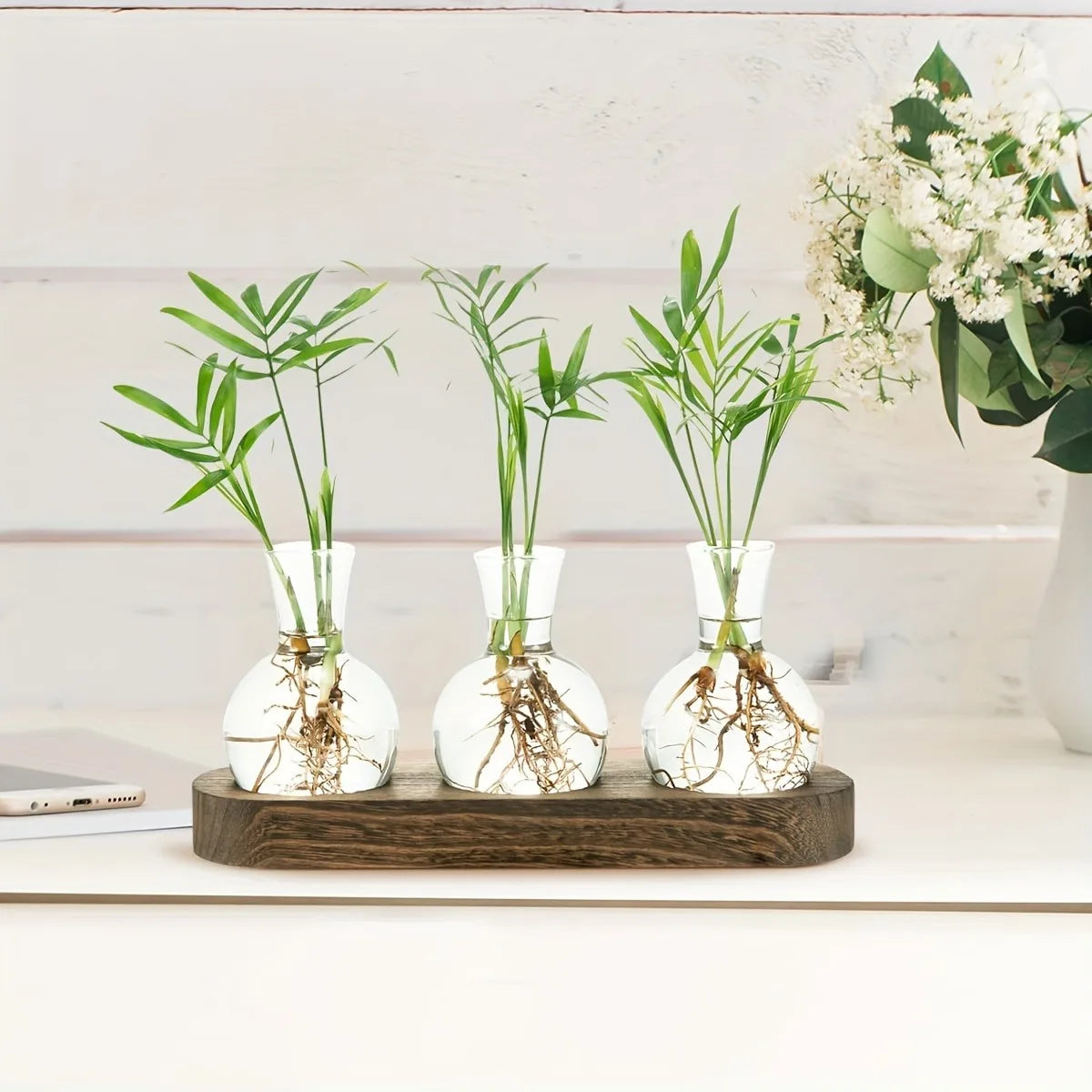 Modern Glass Plant Terrarium with Wooden Tray — Hydroponic Vase for Indoor Propagation Station & Office Decor