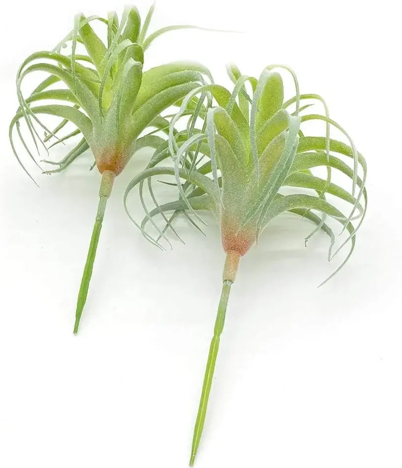 Artificial Air Plants 4 Pack — Faux Tillandsia for Glass Terrarium Decor