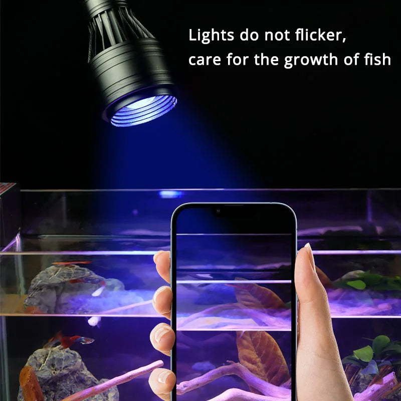 Aquarium Spotlight LED — Adjustable Focus Plant Grow Light for Glass Terrarium