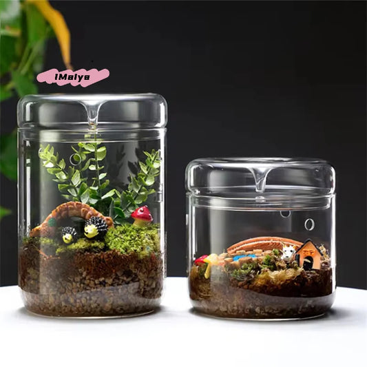 Tabletop Glass Terrarium Dew Collection Vase — Micro Landscape Succulent & Moss Garden Home Decor