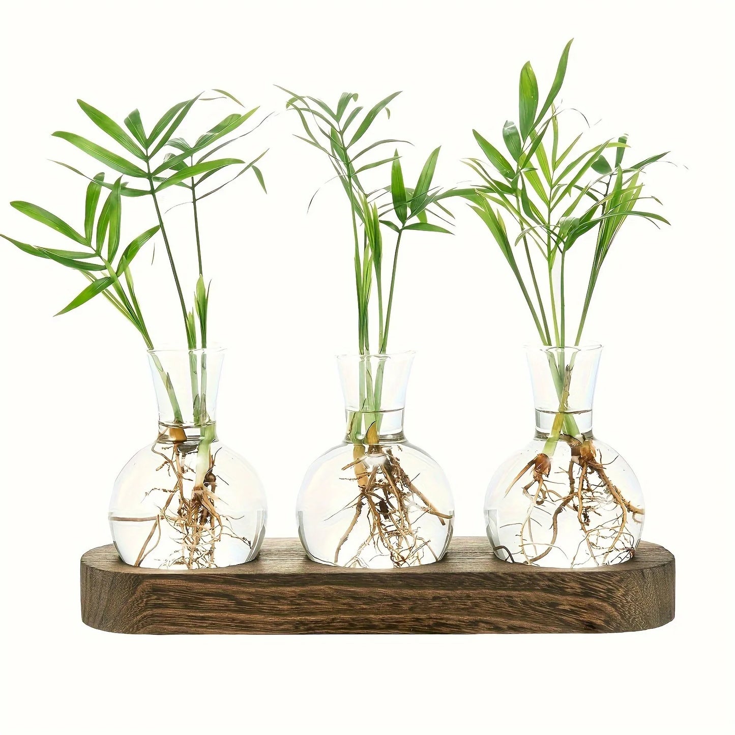 Modern Glass Plant Terrarium with Wooden Tray — Hydroponic Vase for Indoor Propagation Station & Office Decor