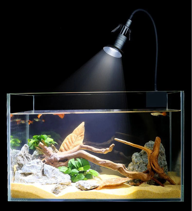 Aquarium Spotlight LED — Adjustable Focus Plant Grow Light for Glass Terrarium