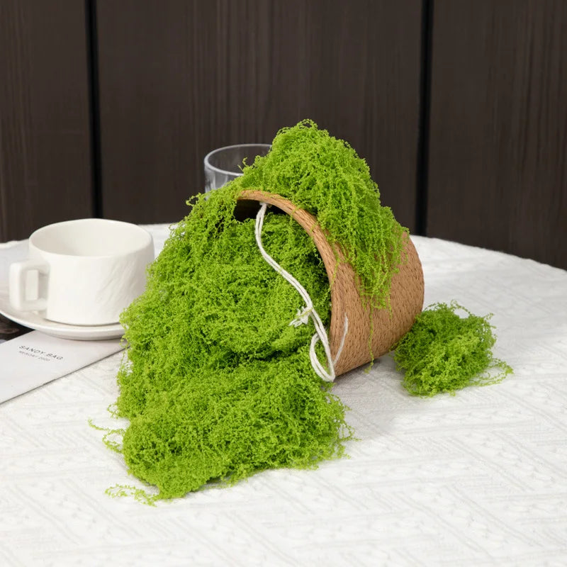 Eternal Life Moss 200g — Premium Preserved Green Moss for Terrarium Decor