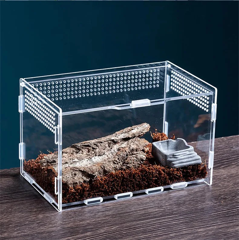 Acrylic Mini Reptile Tank — Transparent Terrarium with Locking Latch for Tarantula, Isopod & Roach