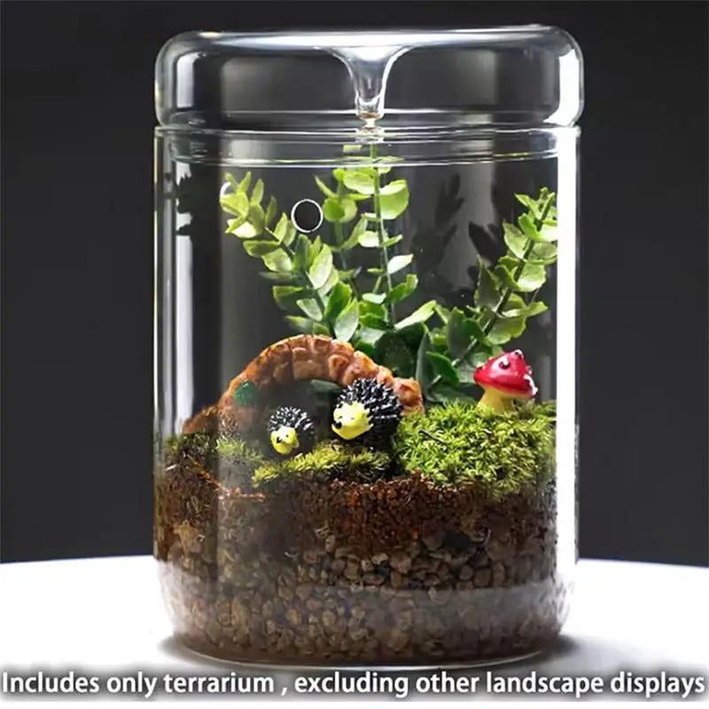 Glass Terrarium Dew Vase — Moss & Succulent Micro Landscape Home Decor