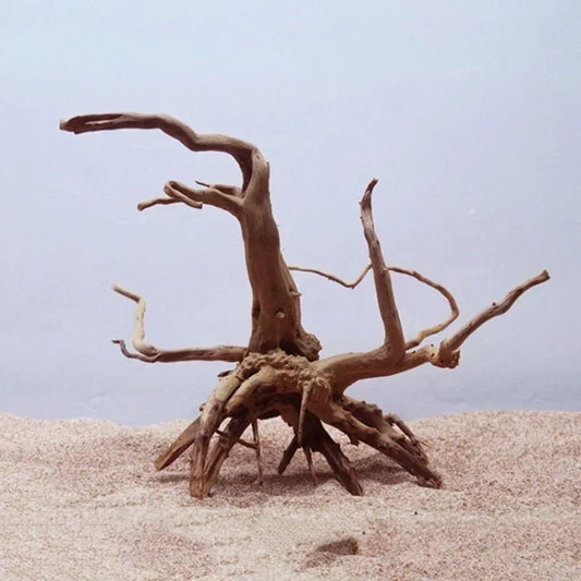 Natural Driftwood Cylinder Roots for Terrarium — Reptile & Aquarium Wood Decoration