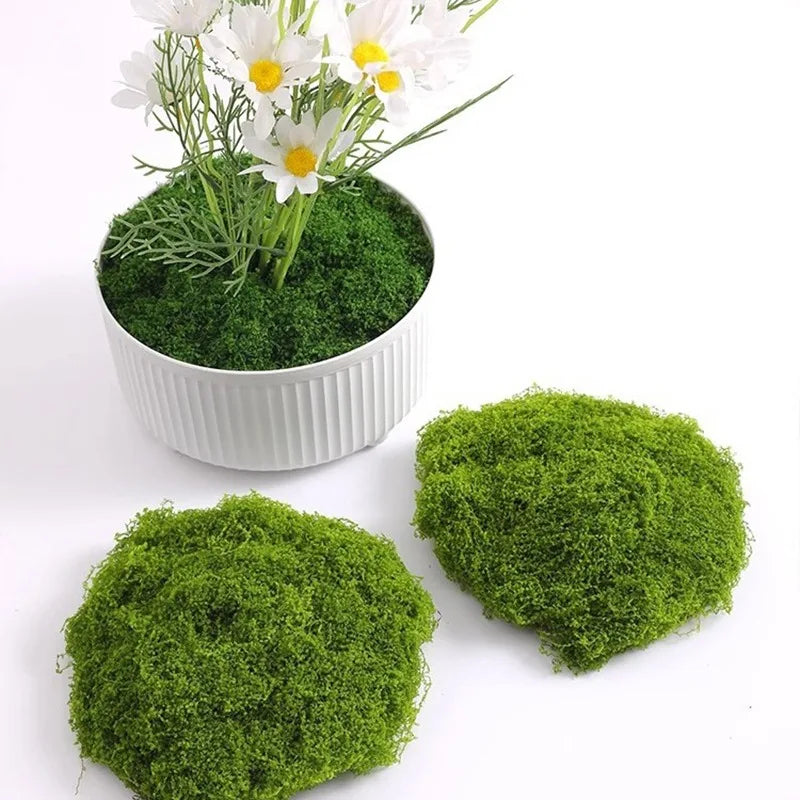 500/30G Artificial Green Plants Eternal Life Moss Mini Landscape Fake Grass DIY Crafts Garden Home Decoration