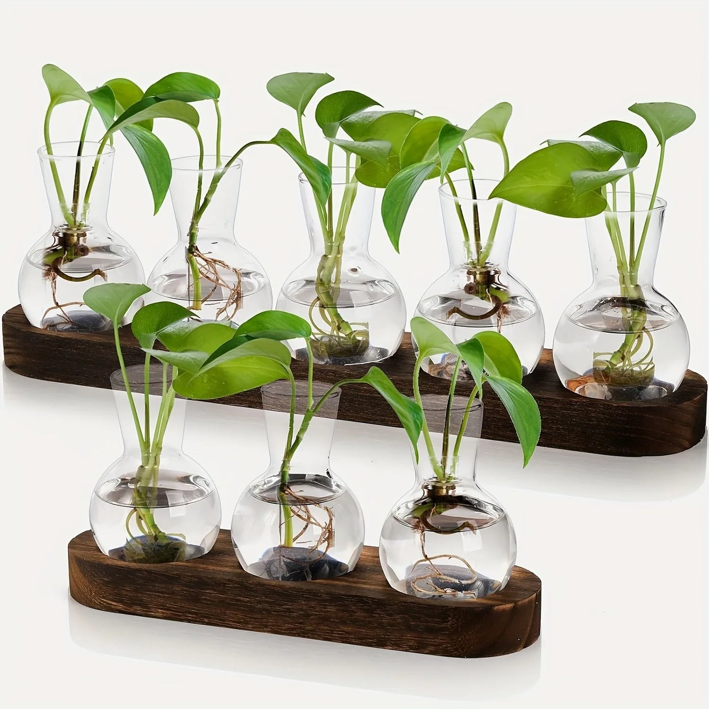 Modern Glass Plant Terrarium with Wooden Tray — Hydroponic Vase for Indoor Propagation Station & Office Decor