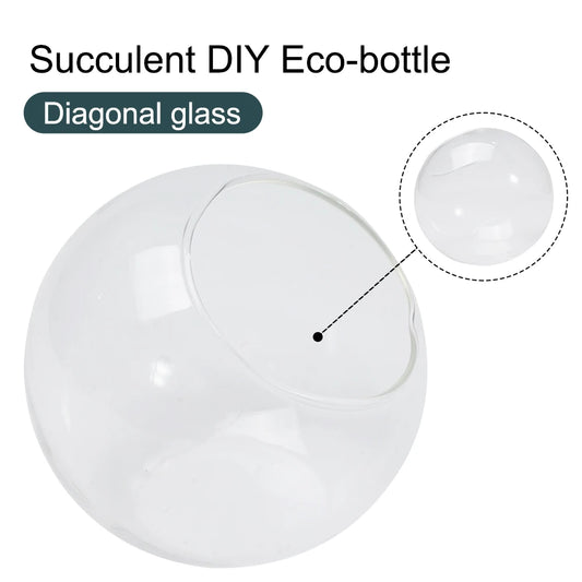 Clear Glass Terrarium Container — Elegant Open Mouth Design for Wedding & Party Micro Landscape Decor