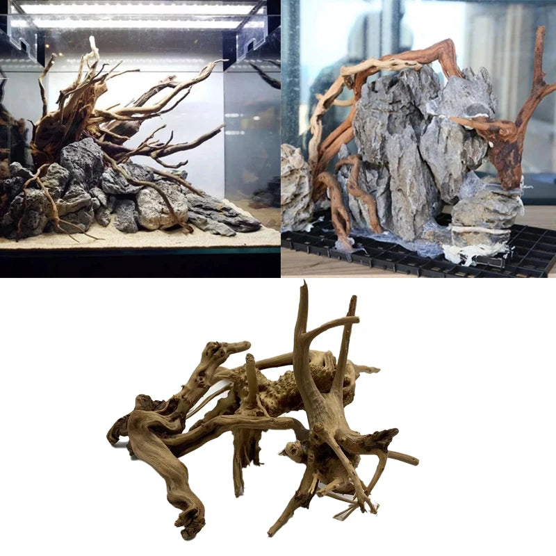 Natural Driftwood for Terrarium & Aquarium — Tree Trunk Wood Decoration Ornament