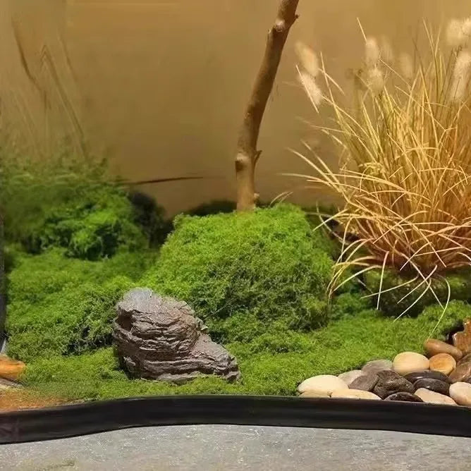Eternal Life Moss 200g — Premium Preserved Green Moss for Terrarium Decor