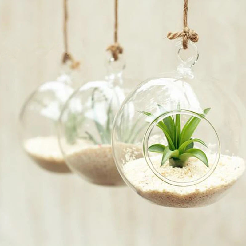 Clear Borosilicate Glass Hanging Ball Vase — Succulent Planter Terrarium for Home & Wedding Decor (8cm)