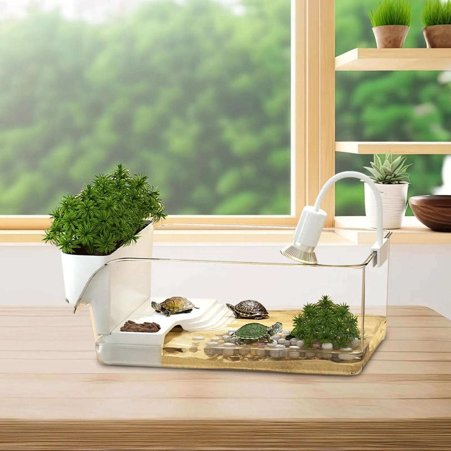 Turtle Tank with Basking Area — Transparent Reptile Terrarium Habitat for Pet Turtles, Hermit Crabs & Tortoise Adoption