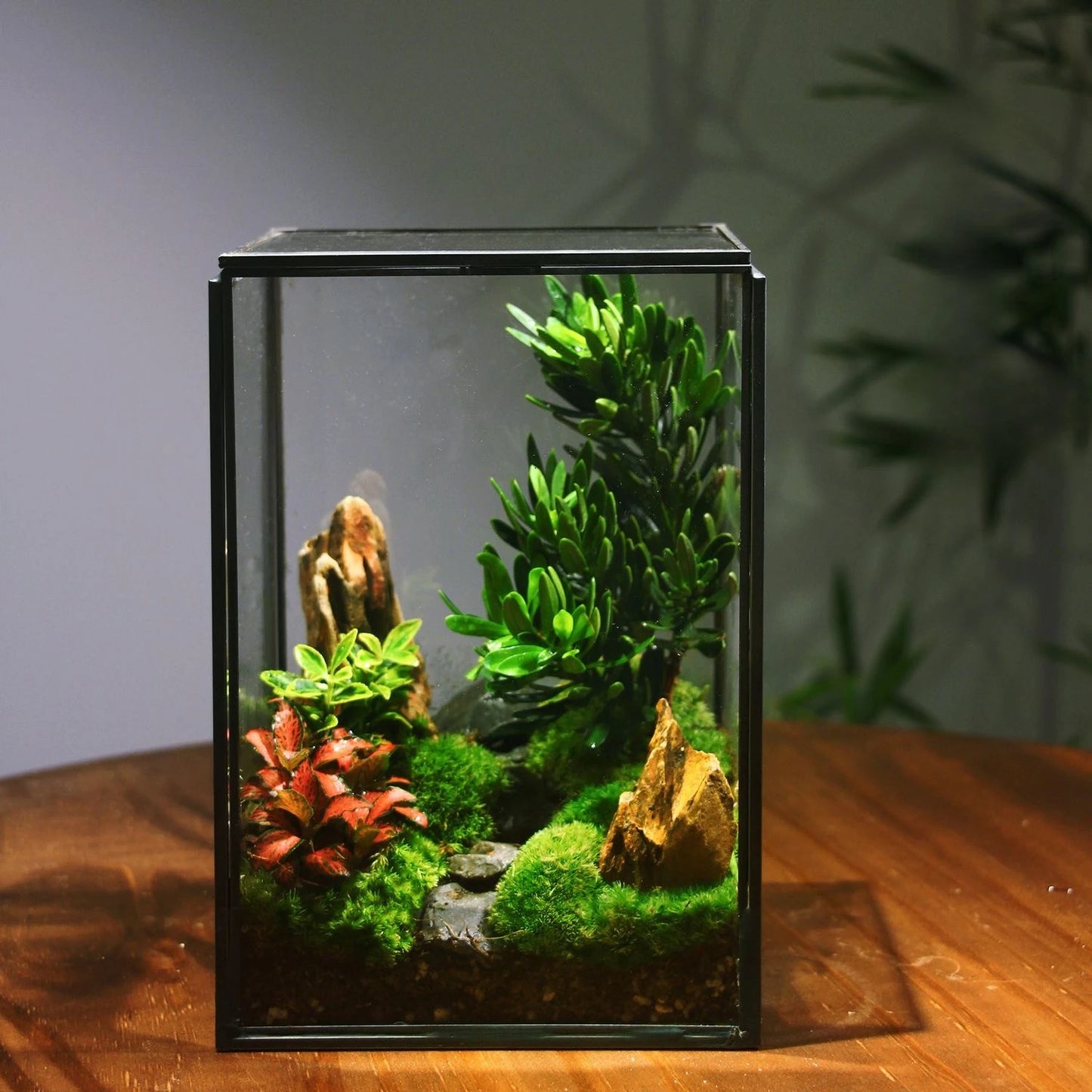 Miniature Rainforest Glass Terrarium — Polyhedron Geometric Terrarium Gift