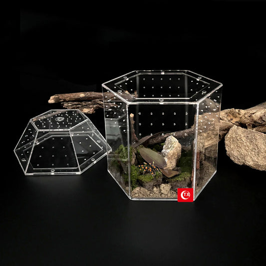Acrylic Mini Tarantula Enclosure — Full Transparency Spider Tank for Spiders, Tarantulas, Snails & Lizards