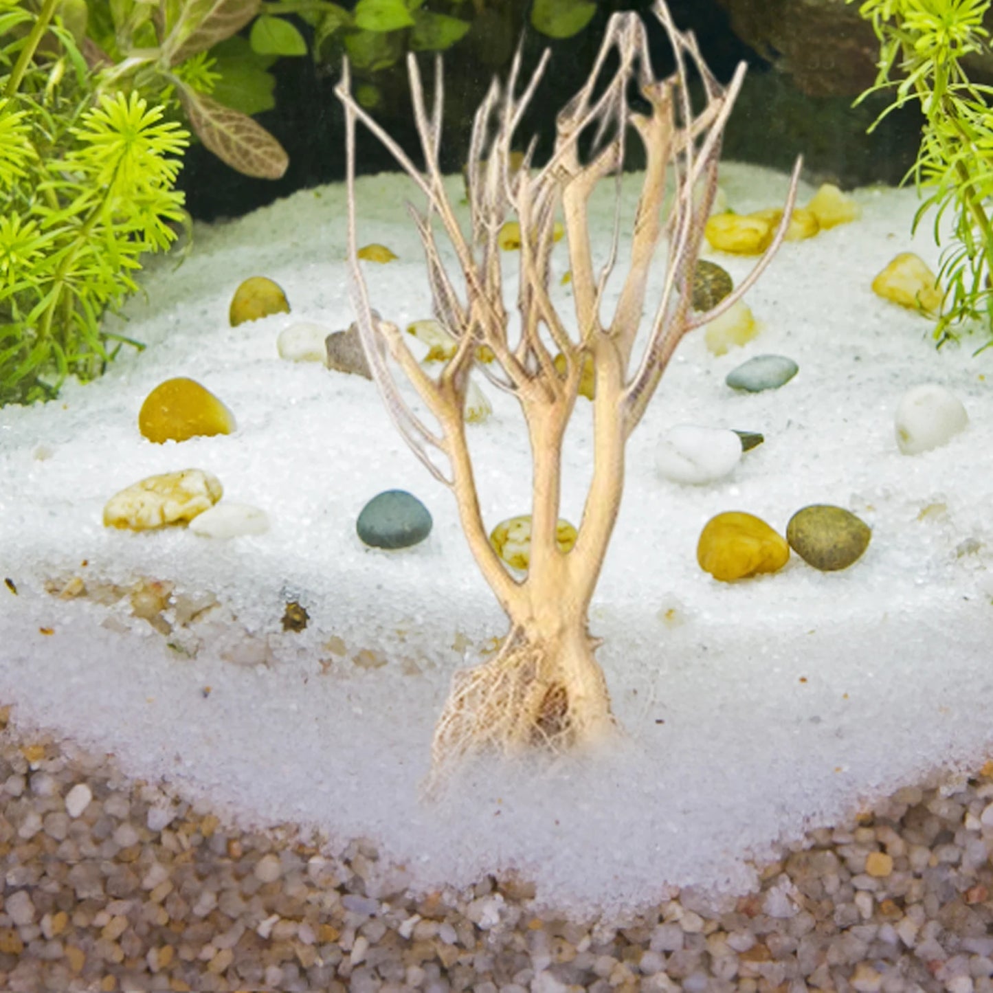 Natural Driftwood Branch — Terrarium Decor & Glass Terrarium Accessory