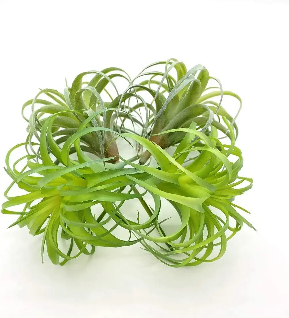 Artificial Air Plants 4 Pack — Faux Tillandsia for Glass Terrarium Decor