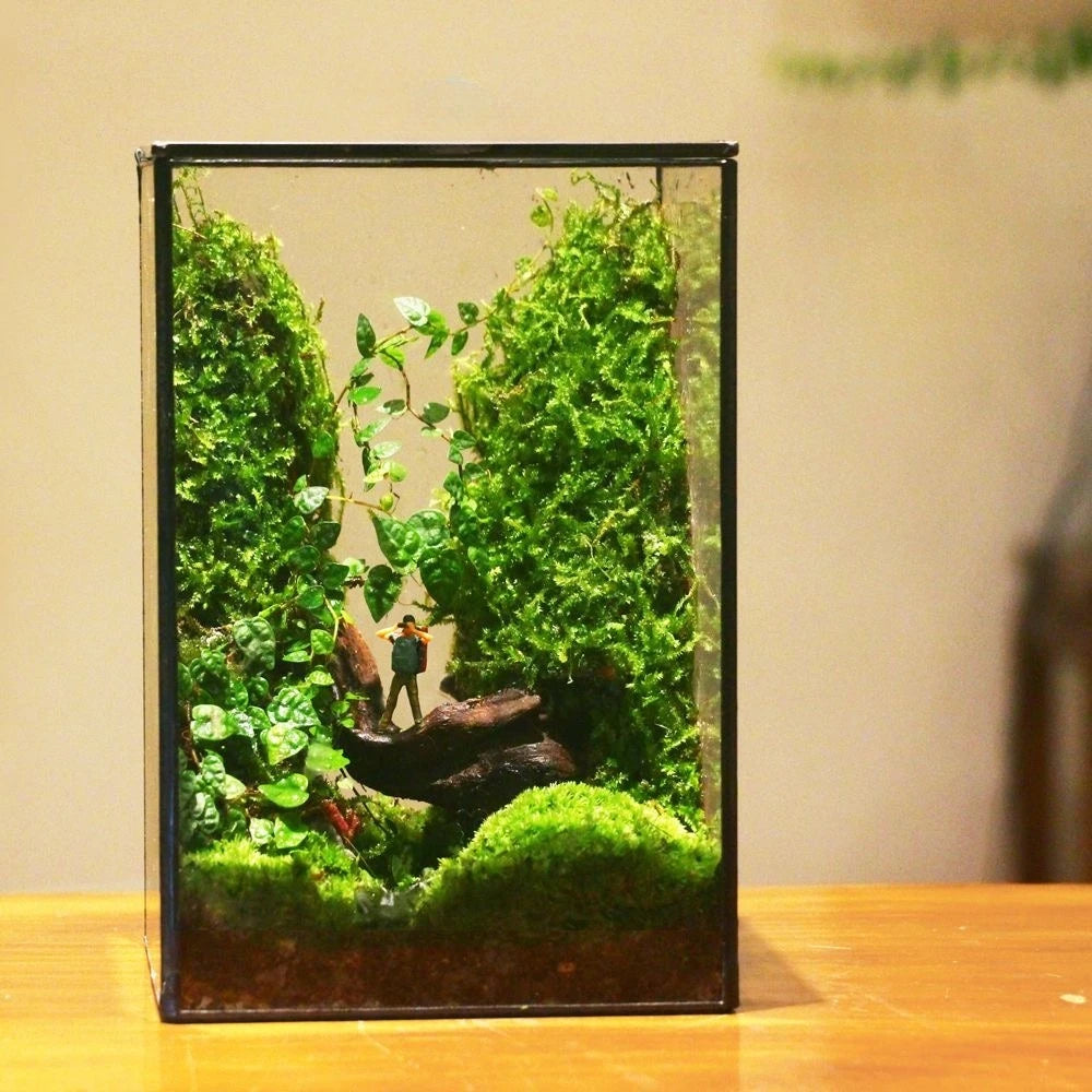 Miniature Rainforest Glass Terrarium — Polyhedron Geometric Terrarium Gift