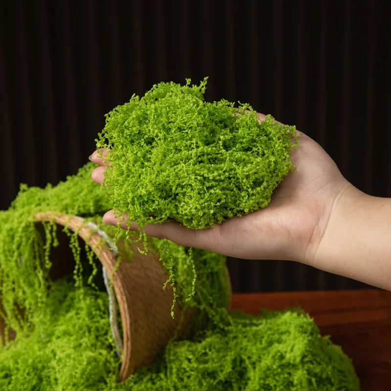 Eternal Life Moss 200g — Premium Preserved Green Moss for Terrarium Decor
