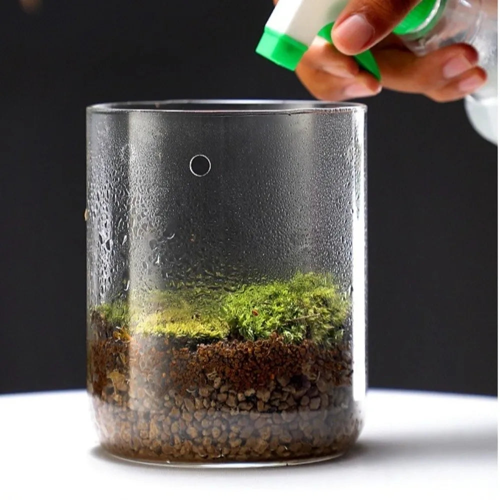 Transparent Glass Terrarium Cylinder — Perforated Cover Succulent & Moss Viewing Bottle Bonsai Display