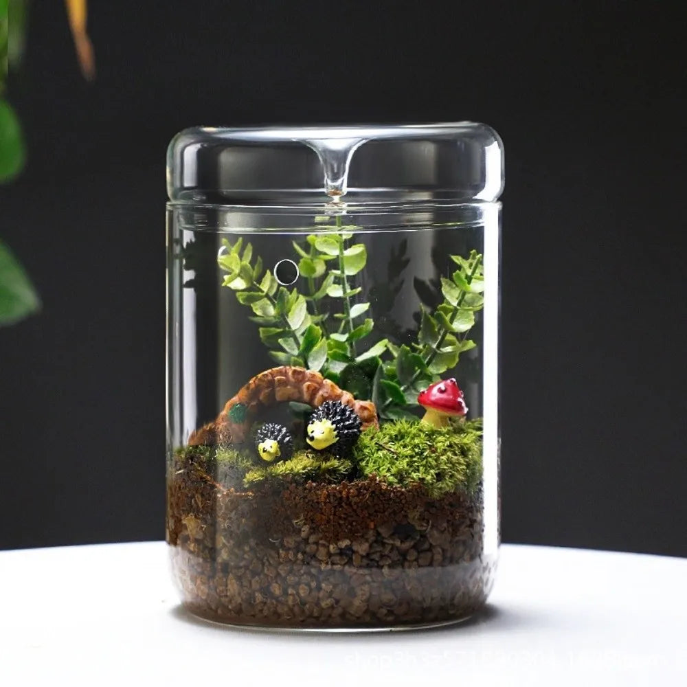Transparent Glass Terrarium Cylinder — Perforated Cover Succulent & Moss Viewing Bottle Bonsai Display