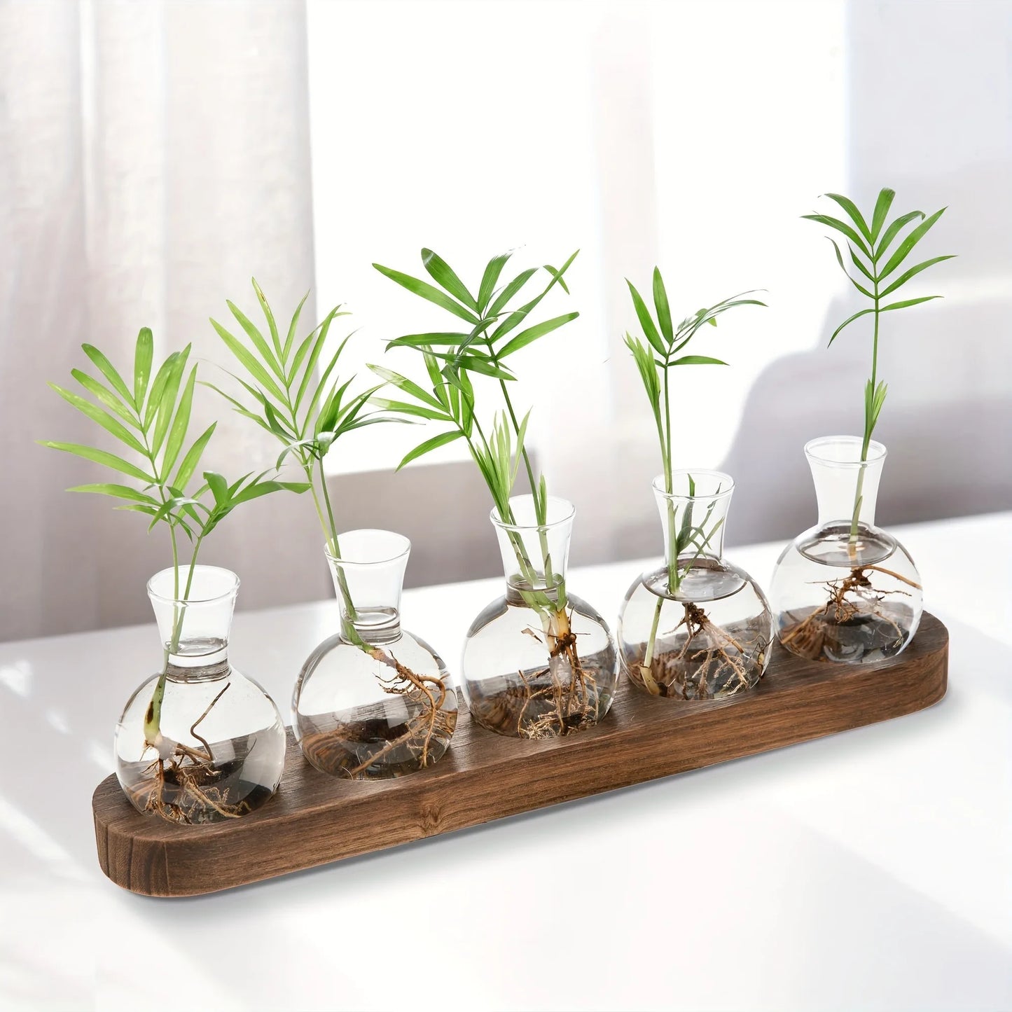Modern Glass Plant Terrarium with Wooden Tray — Hydroponic Vase for Indoor Propagation Station & Office Decor