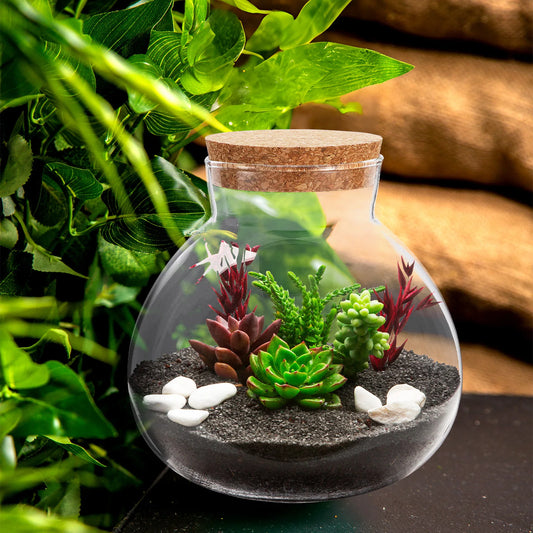Round Glass Terrarium Jar — Ecological Bottle Smooth Moss Landscape Container DIY Decor (15x16cm)
