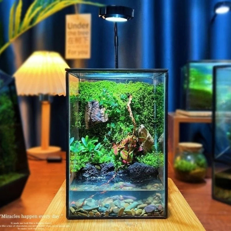 Miniature Rainforest Glass Terrarium — Polyhedron Geometric Terrarium Gift