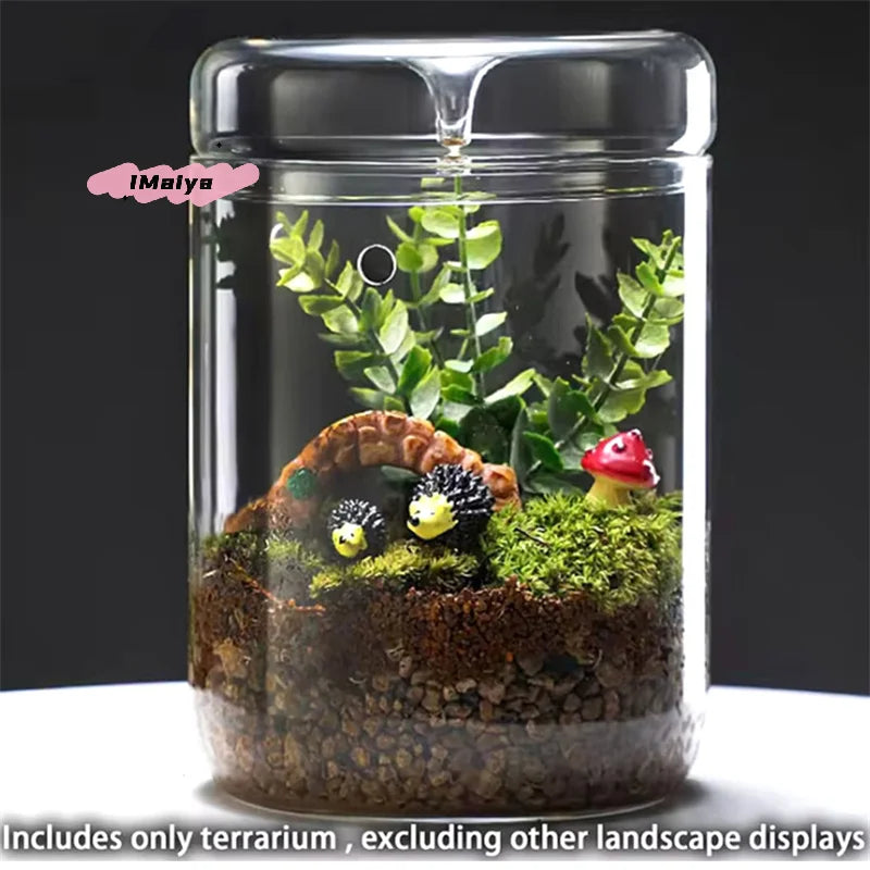 Glass Terrarium Dew Vase — Moss & Succulent Micro Landscape Home Decor
