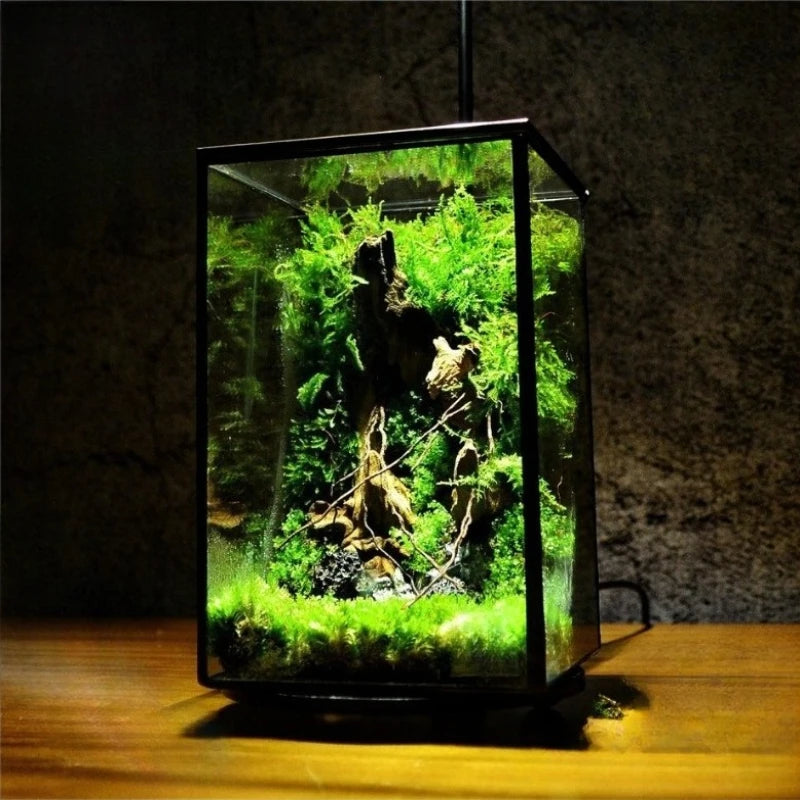 Miniature Rainforest Glass Terrarium — Polyhedron Geometric Terrarium Gift