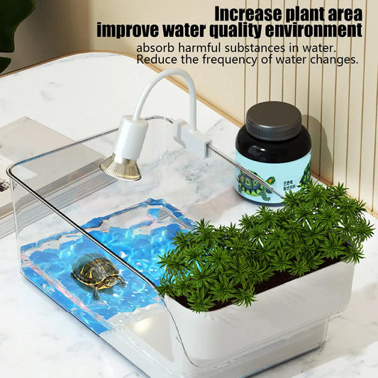 Transparent Turtle Tank with Basking Area — Multi-Functional Reptile Terrarium for Turtles, Hermit Crabs & Tortoise