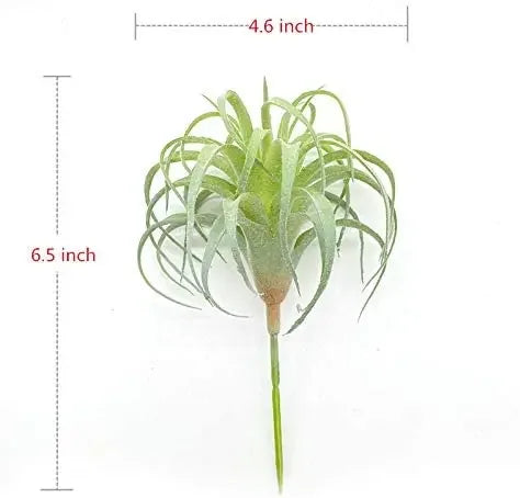 Artificial Air Plants 4 Pack — Faux Tillandsia for Glass Terrarium Decor