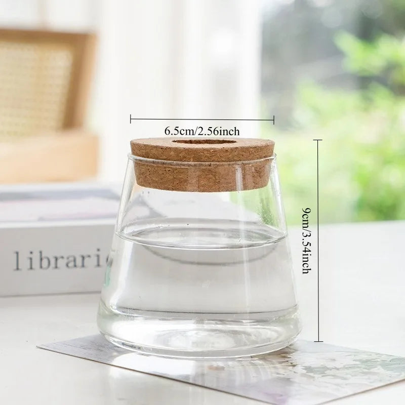 Transparent Hydroponic Flower Pot — Creative Mini Terrarium Glass Vase for Soilless Green Plants