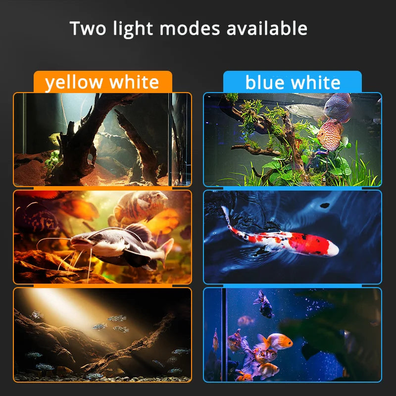 Aquarium Spotlight LED — Adjustable Focus Plant Grow Light for Glass Terrarium