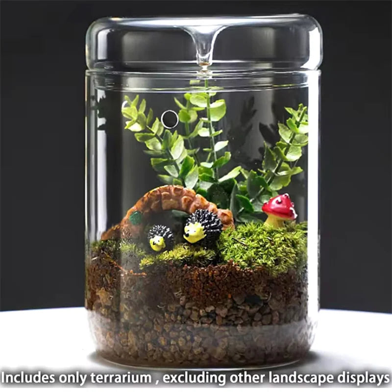 Glass Terrarium Dew Vase — Moss & Succulent Micro Landscape Home Decor