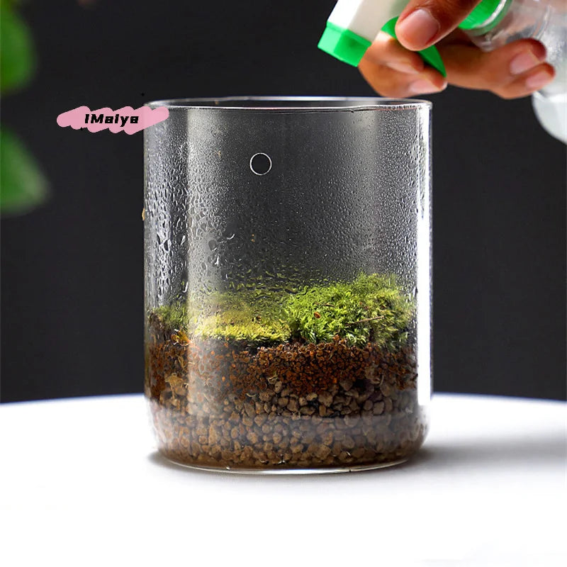Glass Terrarium Dew Vase — Moss & Succulent Micro Landscape Home Decor