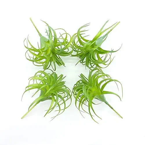 Artificial Air Plants 4 Pack — Faux Tillandsia for Glass Terrarium Decor