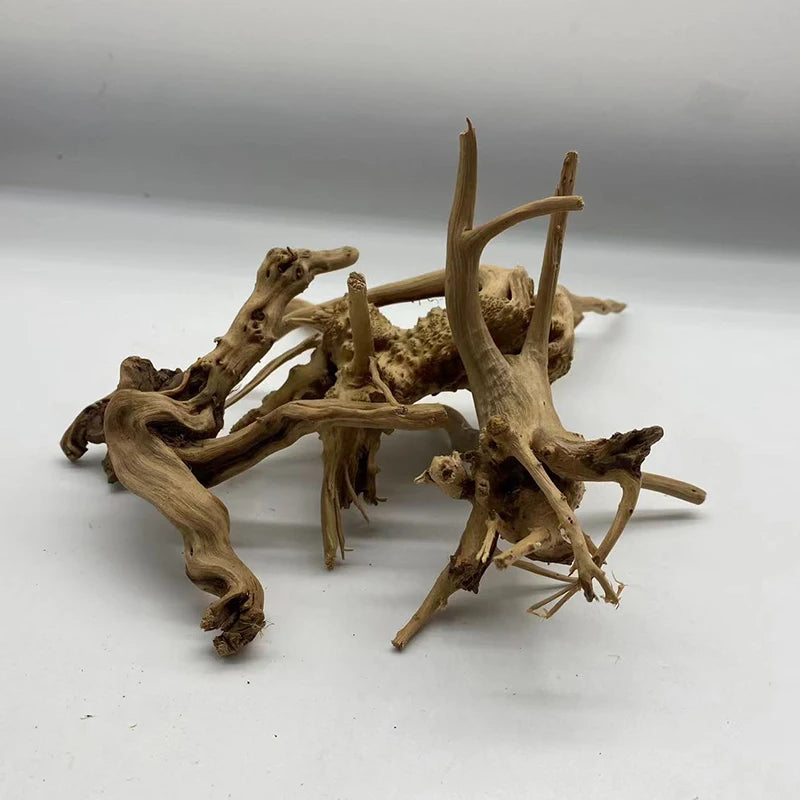 Natural Driftwood for Terrarium & Aquarium — Tree Trunk Wood Decoration Ornament