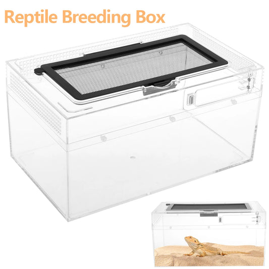 Transparent Breathable Reptile Terrarium — Anti-Escape Amphibian Tank for Turtle, Spider, Lizard & Snake