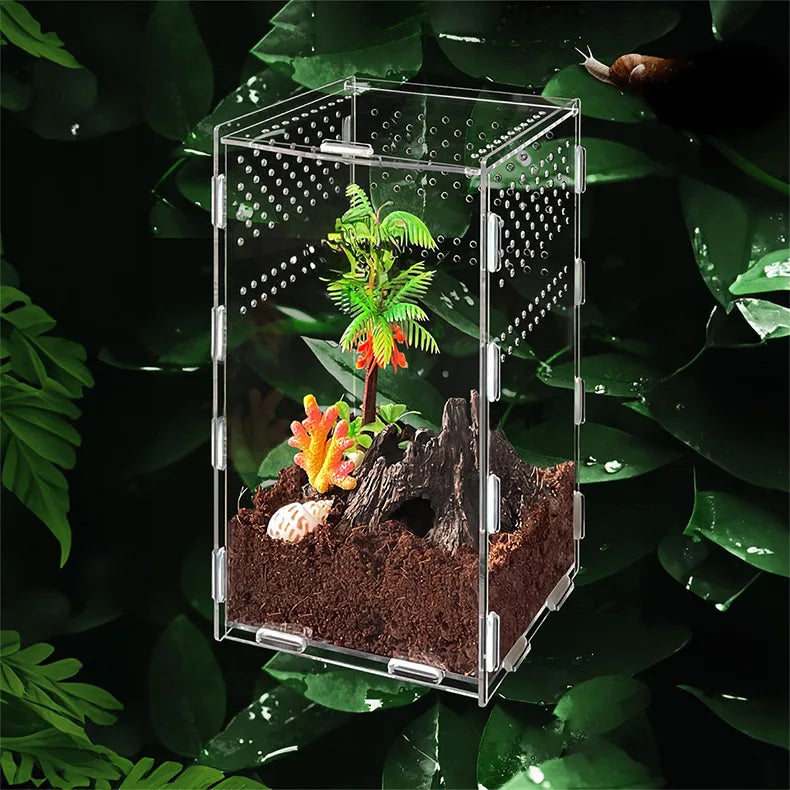 Acrylic Mini Reptile Tank — Transparent Terrarium with Locking Latch for Tarantula, Isopod & Roach