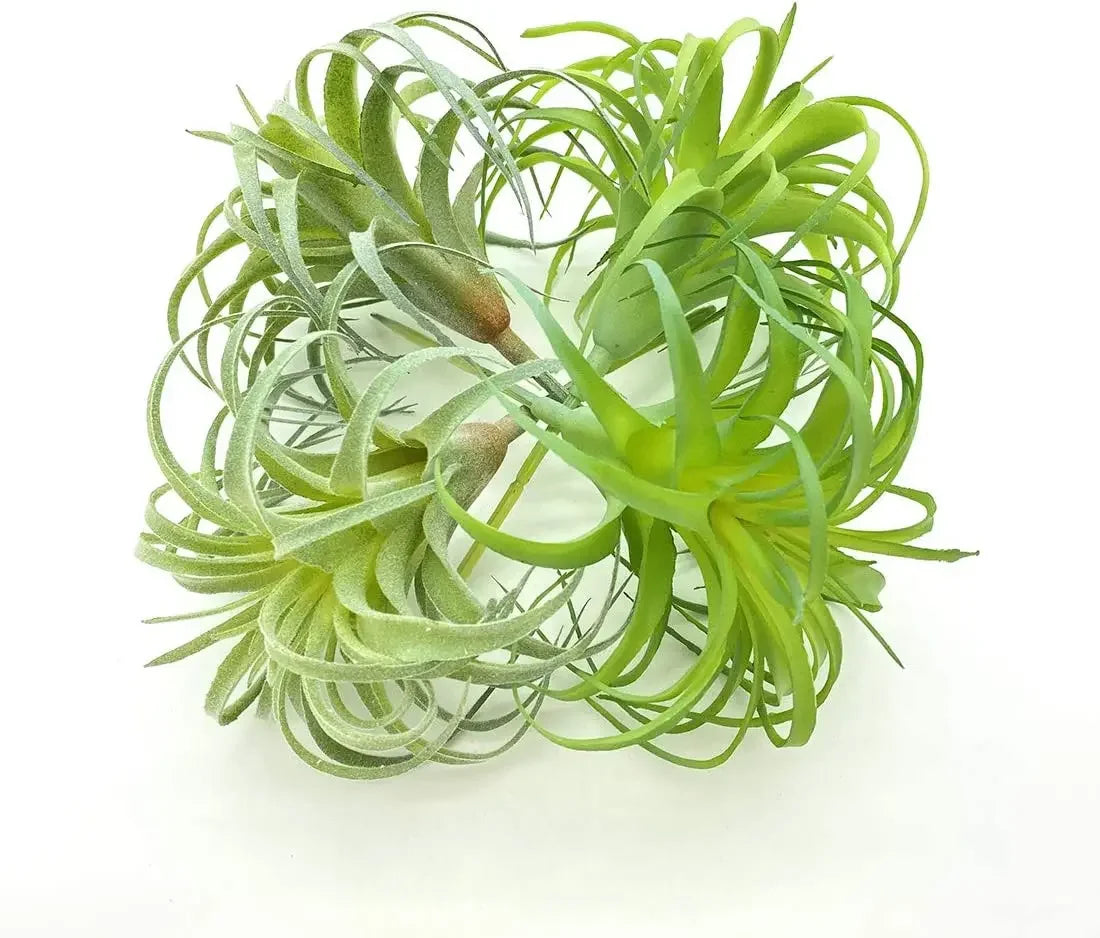 Artificial Air Plants 4 Pack — Faux Tillandsia for Glass Terrarium Decor