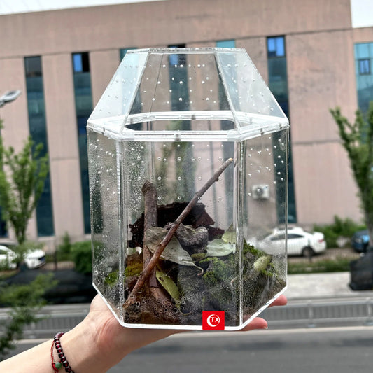 Jumping Spider Enclosure — Acrylic Terrarium with All-Side Ventilation for Spiders, Tarantulas & Lizards