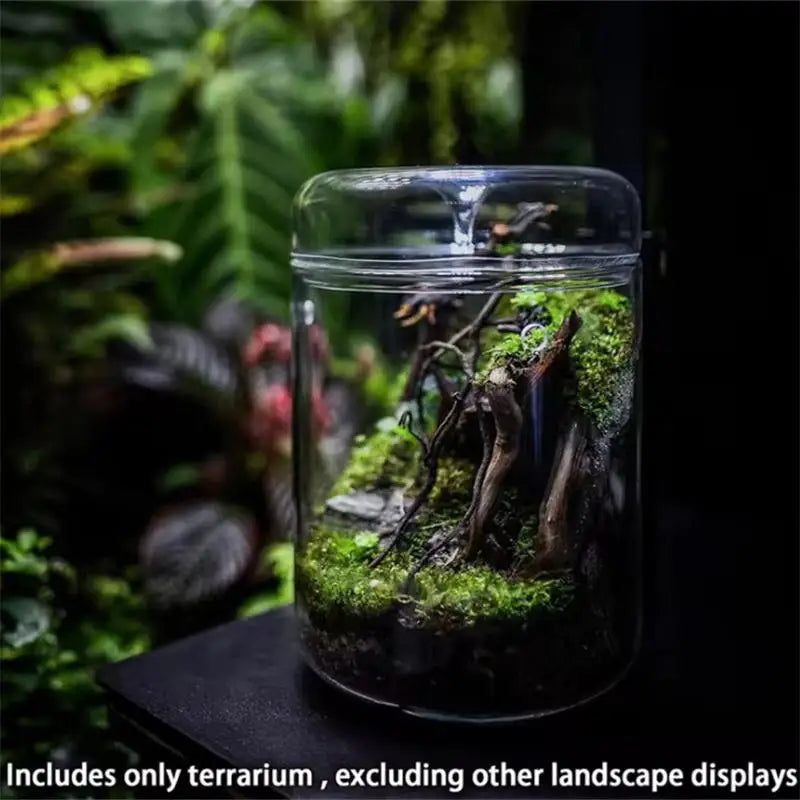 Glass Terrarium Dew Vase — Moss & Succulent Micro Landscape Home Decor