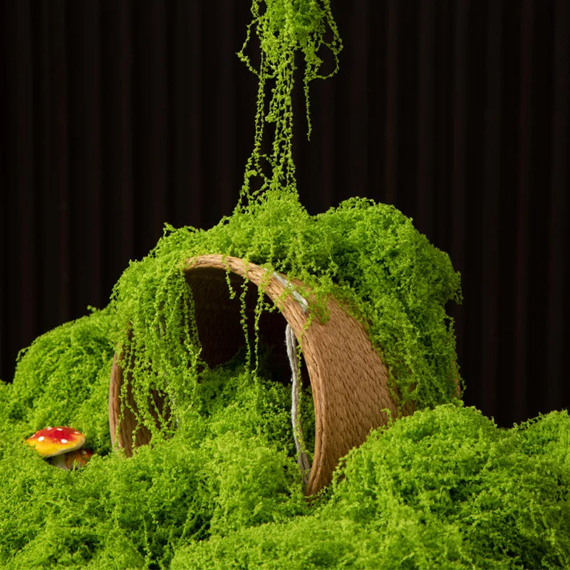 Eternal Life Moss 200g — Premium Preserved Green Moss for Terrarium Decor